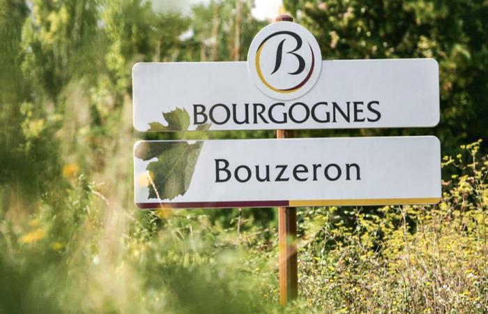 Vosne-Romanée, Gevrey-Chambertin, Volnay … Auf der Route der Grands Crus von Burgund stehen alle Schilder zum Verkauf!