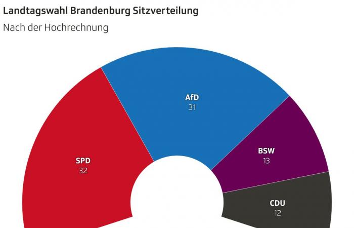 Landtagswahl Brandenburg – SPD setzt sich gegen AfD durch – News