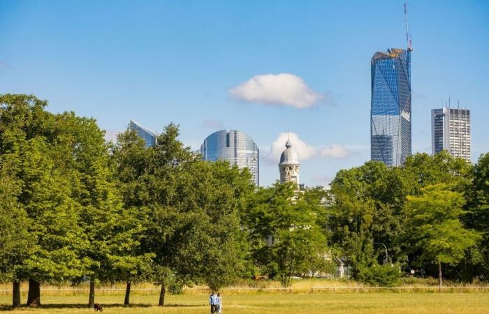 Vergrabene Leiche im Bois de Boulogne in Paris entdeckt