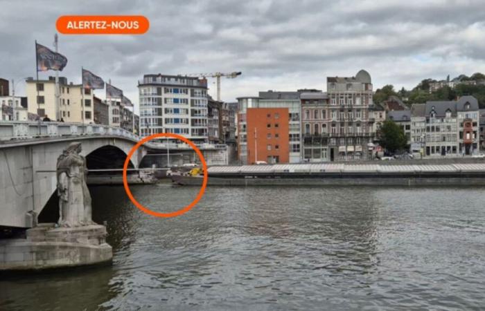 Eine Statue fällt ins Wasser, die Stabilität der Brücke wird beurteilt