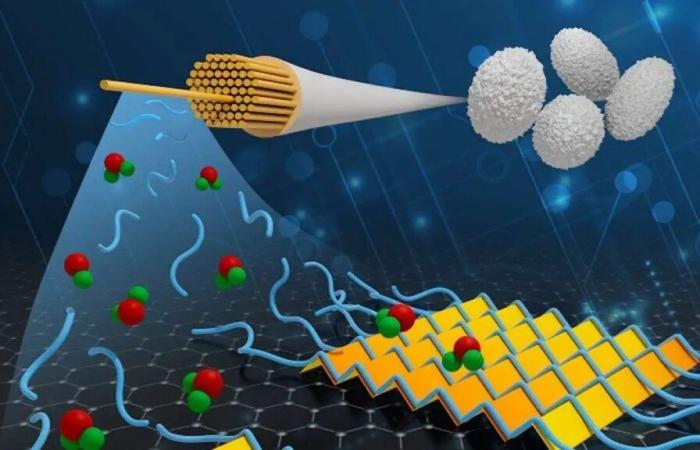 Forscher entwickeln ultradünne Seidenschicht für die Elektronik von morgen