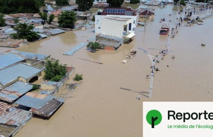 Ein zerstörerischer Monsun, verstärkt durch den Klimawandel