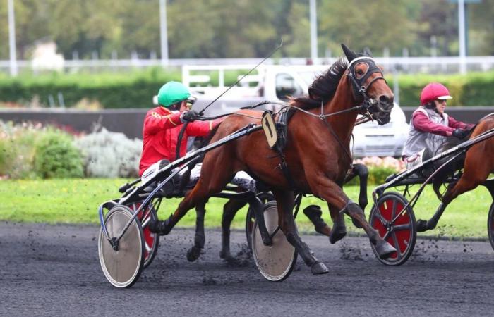 Misty Green bewahrt ihre Unbesiegbarkeit im Prix Hekate in Vincennes