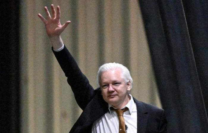 Julian Assange am Dienstag in Straßburg erwartet