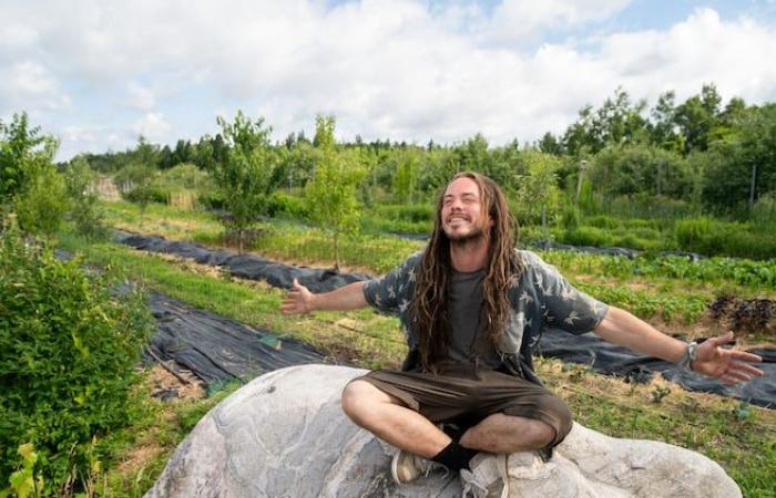 wenn der Apfel wieder an den Baum zurückkommt