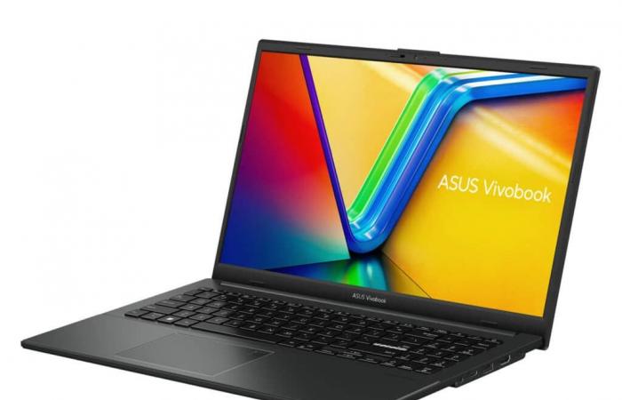 Asus VivoBook 15 S1504FA, günstiger Nomad-Laptop 10h Diskretes Schwarz 15″ Dünn und Leicht AMD Ryzen 5 im Paket mit Tasche und Maus – LaptopSpirit