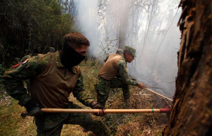 Hauptstadt Quito im „Ausnahmezustand“ wegen 27 Waldbränden