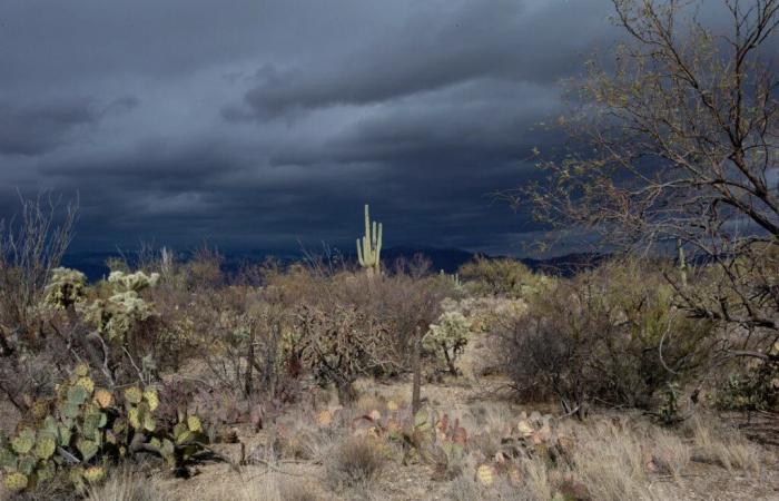 WHO warnt vor klimabedingten Todesfällen in Afrika: 5.000 Tote im Jahr 2022