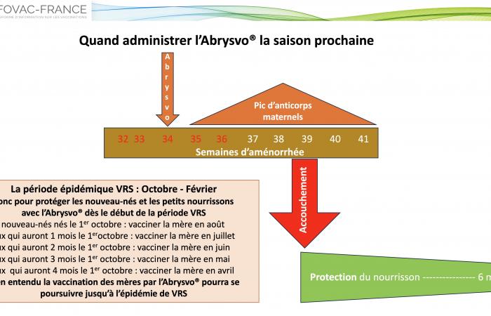 Bulletin Nr. 10 – September 2024