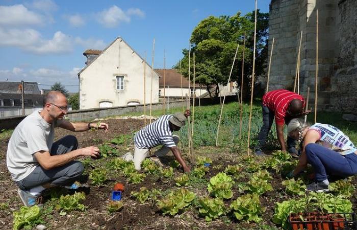 ein Garten und eine gemeinsame Mahlzeit für die Bewohner, diesen Freitag in der Kirche Saint-Célestin in Vierzon