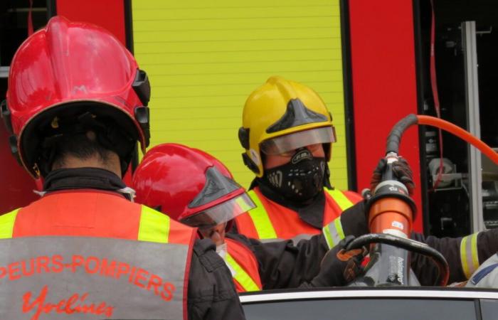 5 Verletzte bei Frontalzusammenstoß zwischen Bus und Transporter