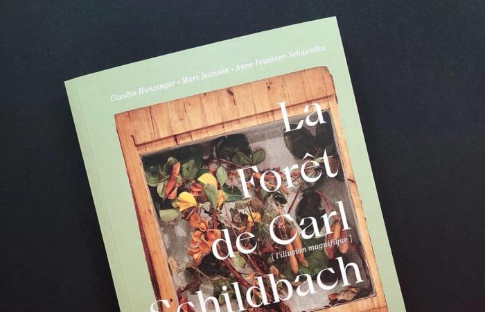 Der Wald von Carl Schildbach – Tela Botanica