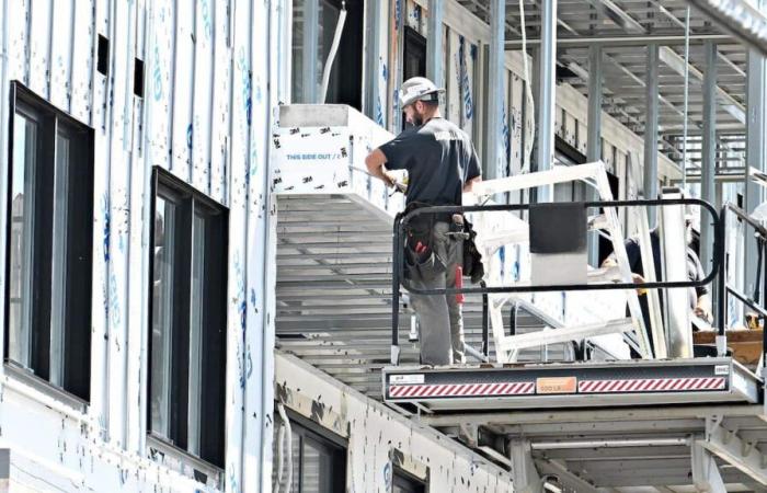 „Es gibt mehr dauerhafte Schließungen von Baumärkten als je zuvor“