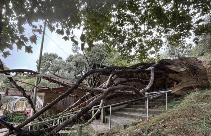 Riesige Tintenfische aus Holz, Giraffenskulpturen … Was haben die Sentiers des Arts dieses Jahr in der Charente-Maritime auf Lager?