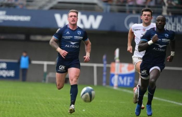 Stuart Hogg unsicher für Montpelliers Reise nach Bayonne, Paul Willemse zurück