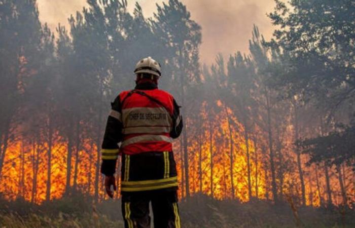 6 Wilayas waren am 26. September von Waldbränden betroffen