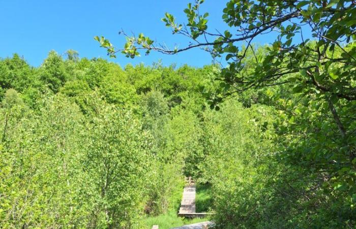 Die Gewinner des Holzbaus in Isère 2024 werden bekannt gegeben