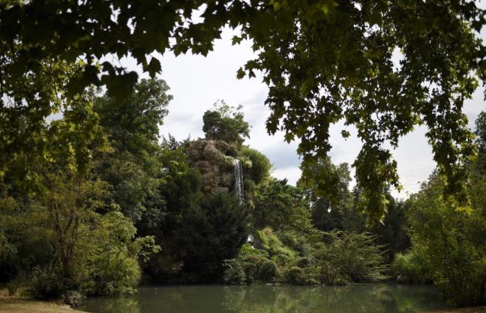 In der Schweiz wurde ein Verdächtiger festgenommen