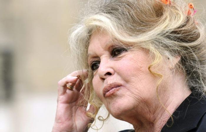 Saint-Tropez feiert den 90. Geburtstag von Brigitte Bardot und ist „sehr glücklich“ über die Ehrung