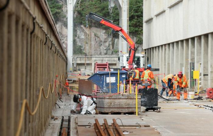 Quebec | Eine Verjüngungsbehandlung, die Kraft bringt