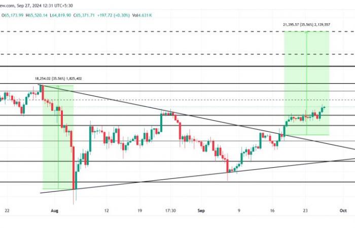 Was hält BTC im Oktober 2024 für seine Anleger bereit?