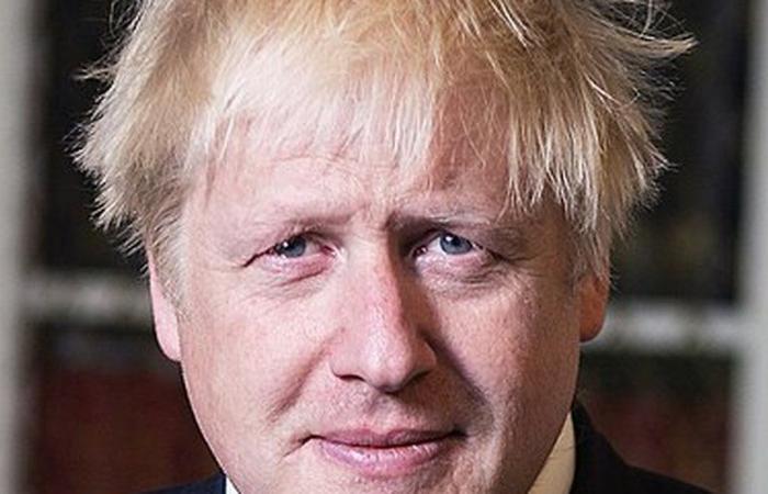 als der ehemalige britische Premierminister Boris Johnson über einen „Seeangriff“ in den Niederlanden nachdachte, um Impfstoffe zu stehlen