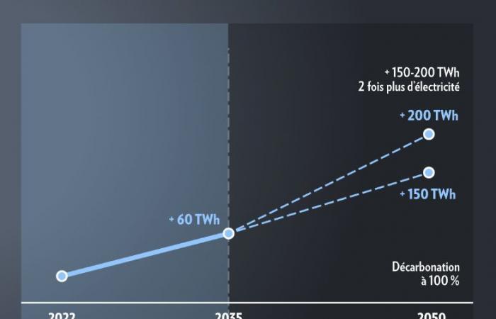 Quebec | Eine Verjüngungsbehandlung, die Kraft bringt