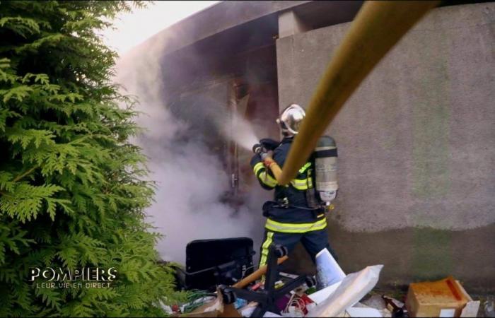 Feuerwehrleute: ihr Leben lebt – Gasalarm – Feuerwehrleute: ihr Leben lebt