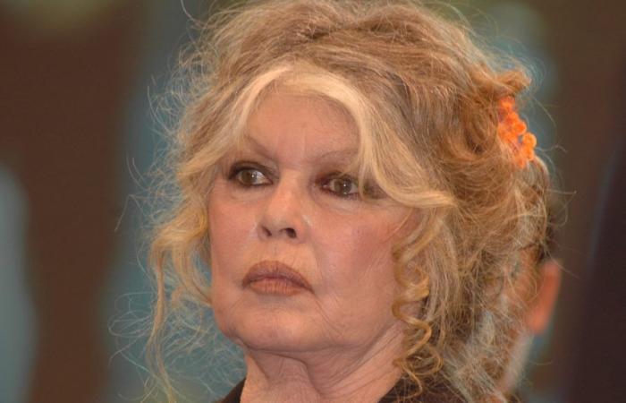 Brigitte Bardot feiert ihren 90. Geburtstag, einen Geburtstag, vor dem sie sich „fürchtet“