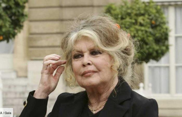 Brigitte Bardot ist 90 Jahre alt, ihre Geheimnisse: „Ich fürchte mich vor dem 28. September …“