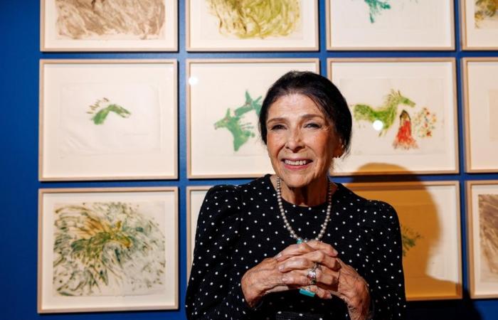 Alanis Obomsawin im MAC