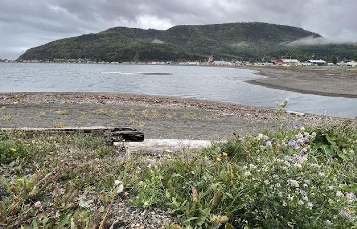 Das Strandauffüllungsprojekt sorgt in Saint-Maxime-du-Mont-Louis für Aufregung