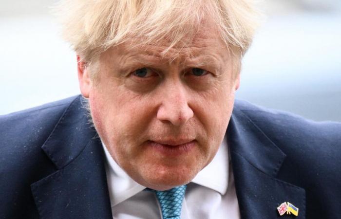 Boris Johnson erwog während der Pandemie einen Spezialeinsatz gegen die Niederlande, um Impfstoffe zu beschlagnahmen