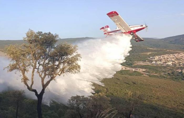 Löschung eines Waldbrandes in Sidi Semiane