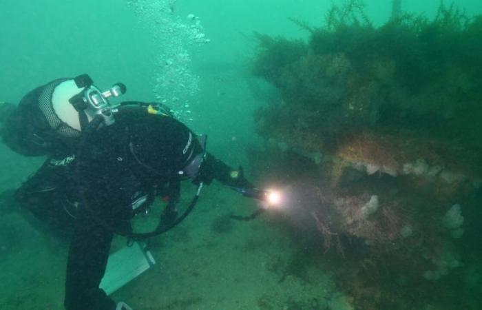 Spezialisten aus ganz Frankreich werden in Côtes-d’Armor erwartet