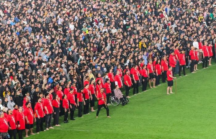 Neuseeland | Ein neuer Weltrekord für den größten Massen-Haka