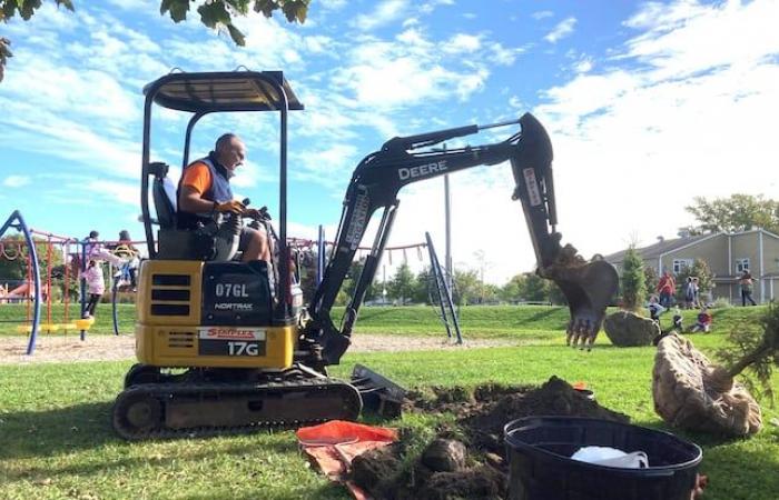 Ein zukünftiger Wald, der auf einem Vanier-Schulhof gepflanzt wird