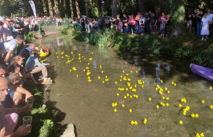 Gelbe Flut beim Saint-Michel-Festival in Vivonne