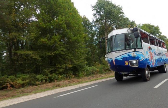 Was sind diese erstaunlichen Amphibienshuttles, die man in der Seine sieht?