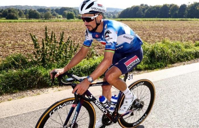 LIVE – Radweltmeisterschaft: Alaphilippe stürzt und gibt auf, harter Schlag für die Blues