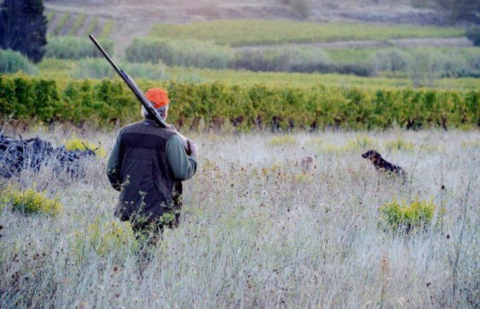 Ein Jäger schoss bei einer Wildschweinjagd in den Kopf