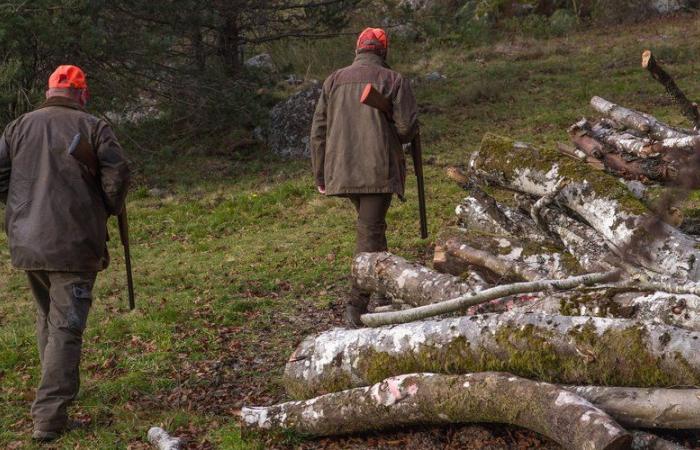 Die Wildschweinjagd wird zur Tragödie, ein 42-jähriger Jäger wird durch eine Kugel in den Kopf getötet