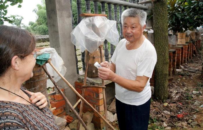 als „Sud Ouest“ der chinesischen Spur der ersten Hornisse folgte, die über Lot-et-Garonne nach Frankreich gelangte