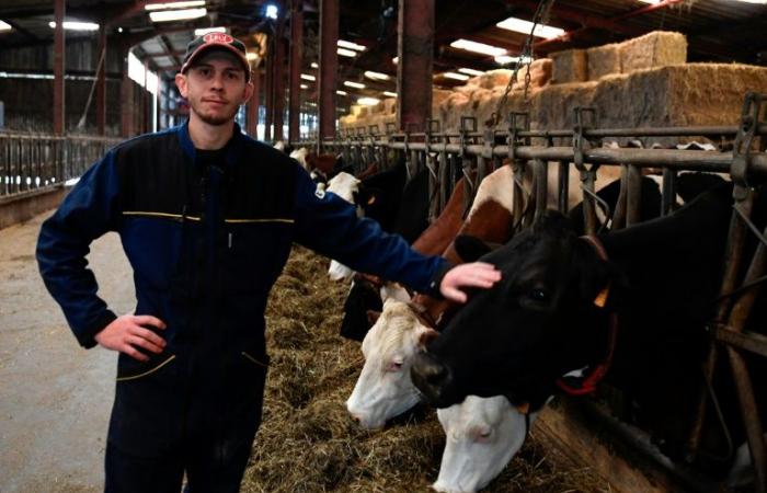 In den Vogesen sind die Milchproduzenten bestürzt über den Rückzug von Lactalis