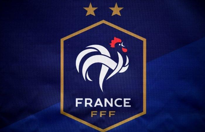 Frankreich U16 spielt gegen die Ukraine mit Torschütze Doganay (OL).