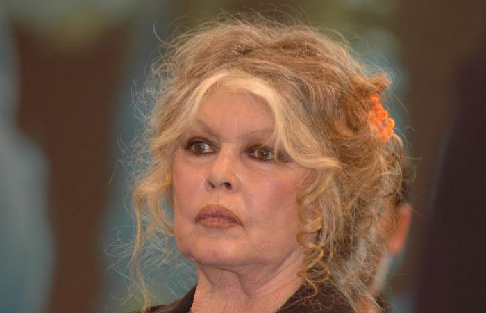 Zu ihrem 90. Geburtstag träumt Brigitte Bardot nur von einem: Ruhe