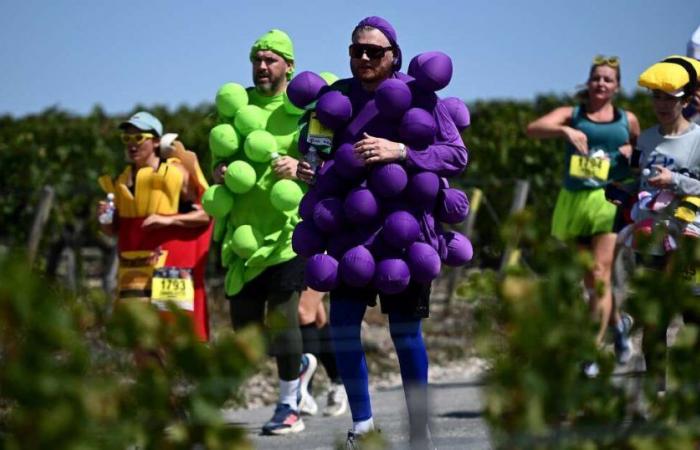 Mein Médoc-Marathon, das Rennen, das nur die Franzosen erfinden konnten