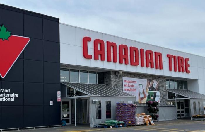 Canadian Tire hat einen großen Ausverkauf und hier sind 12 Produkte mit Rabatten von bis zu 300 $