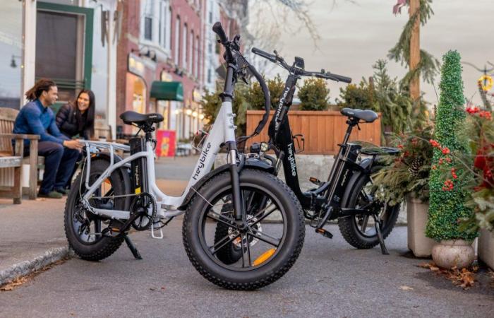 Welches gesetzgeberische Arsenal zur Bekämpfung elektrischer Fatbikes? Das niederländische Beispiel…