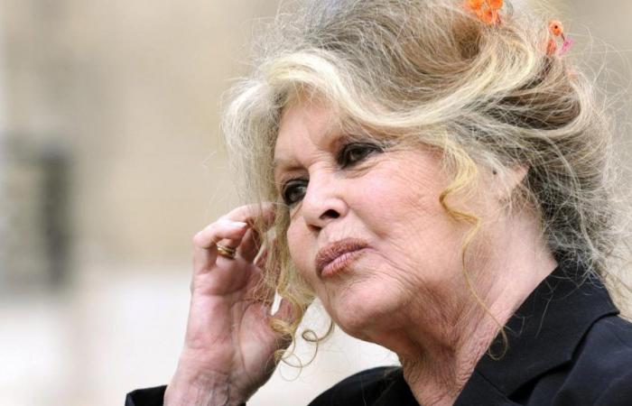 Brigitte Bardots Wunsch zu ihrem 90. Geburtstag